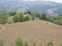 2014 - Palagano, Prima festa del grano